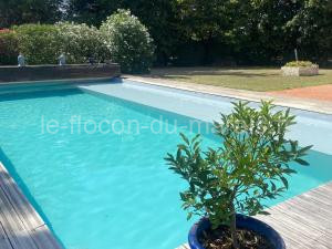 Maison Ravel with private swimming pool à Nalliers
